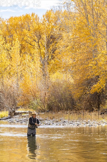 Senior man fly fishing in Big Wood River in Autumn