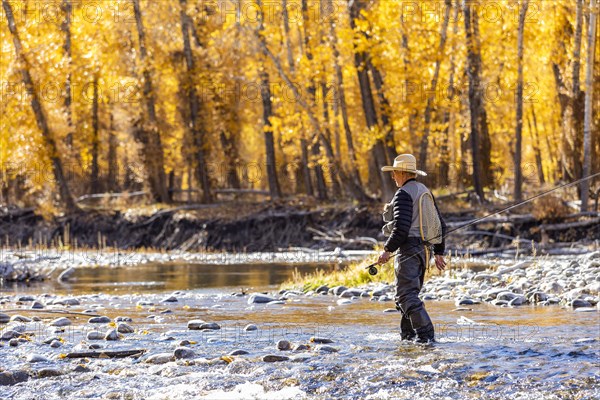 Senior fisherman wading in Big Wood River in Autumn