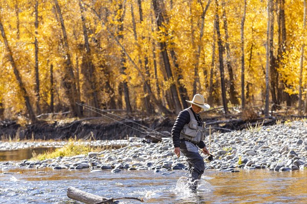 Senior fisherman wading in Big Wood River in Autumn