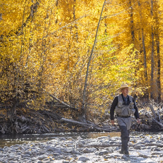 Senior fisherman wading in Big Wood River in Autumn