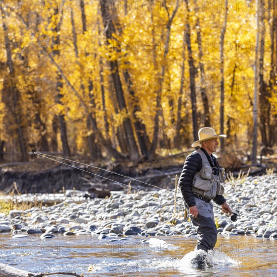 Senior fisherman wading in Big Wood River in Autumn