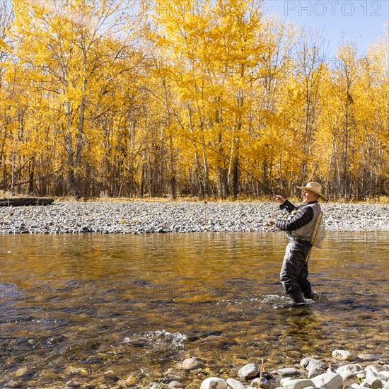 Senior man fly fishing in Big Wood River in Autumn