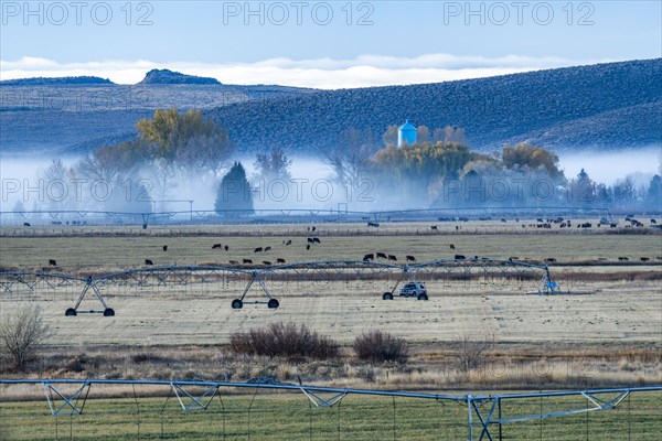 Agricultural sprinklers