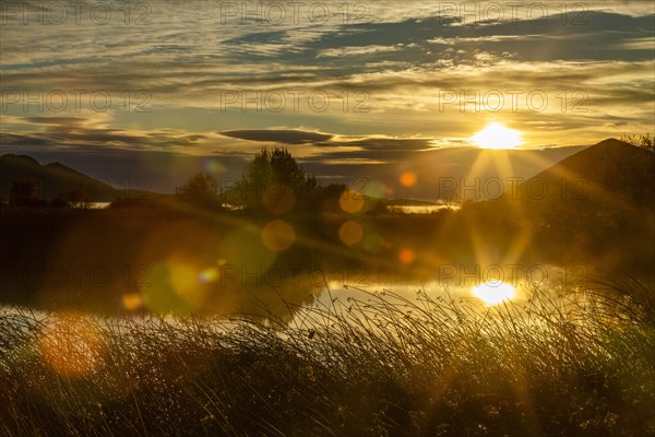 Sunrise over reeds in calm spring creek