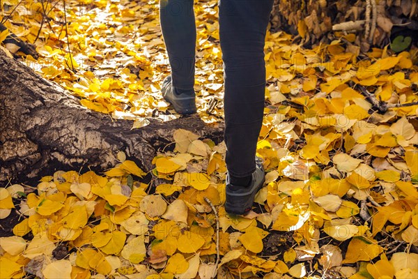 Legs of woman walking on footpath