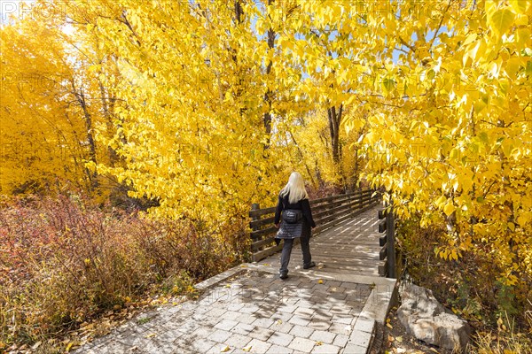 Rear view of woman walking