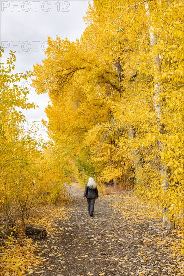 Rear view of woman walking