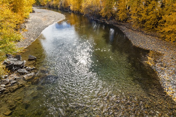 Reflection of fall foliage in Big Wood River