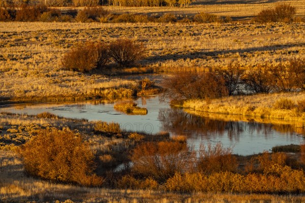 Tranquil spring creek in fall