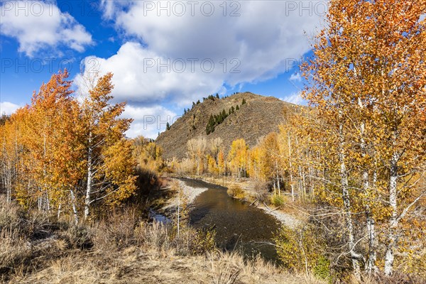 Autumn landscape on sunny day