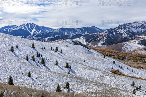 Snow covered hillside