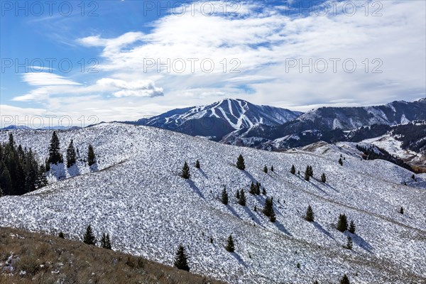 Snow covered hillside