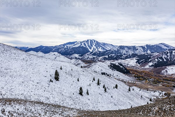 Snow covered hillside