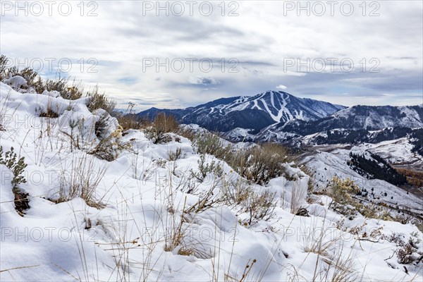 Snow covered hillside