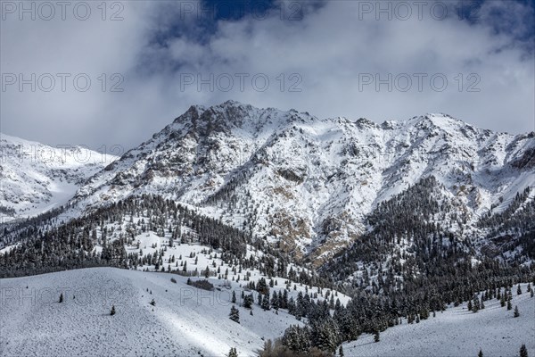 Mountain landscape in winter