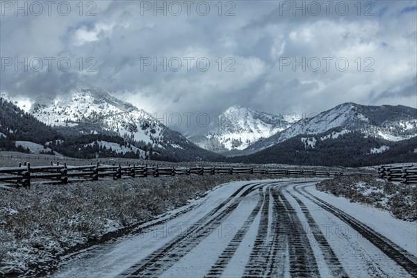 Road between pastures