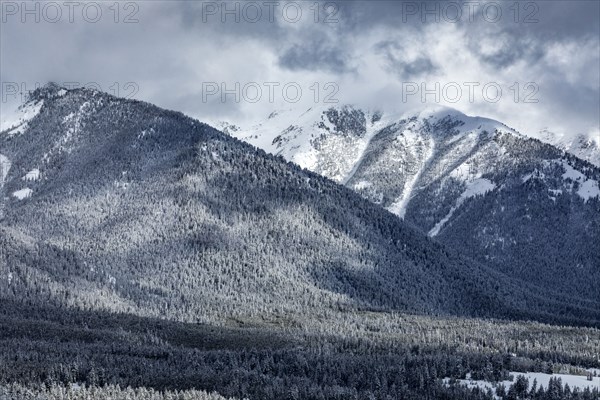 Mountain landscape and forest in winter