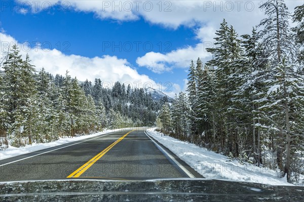 Highway through snowy forest