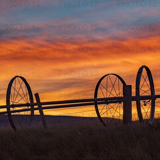 Silhouette of irrigation wheels in field at sunset