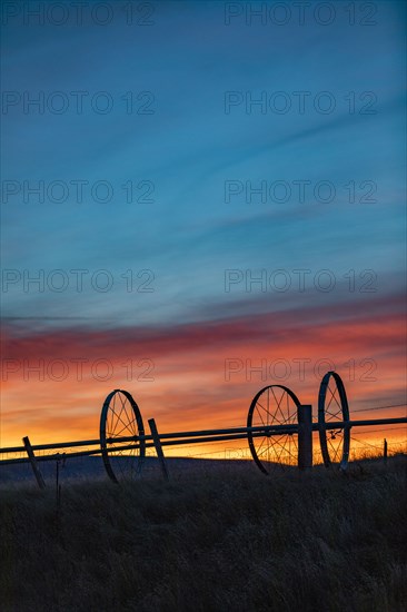 Silhouette of irrigation wheels in field at sunset