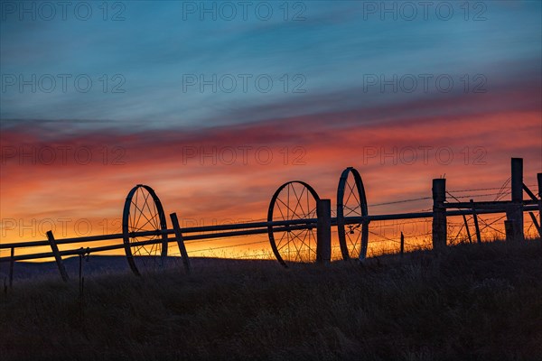 Silhouette of irrigation wheels in field at sunset