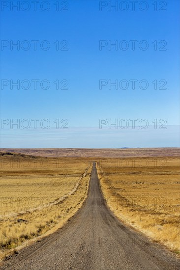 Empty desert road and blue sky