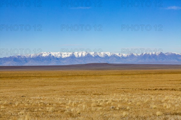 Desert and distant mountains under blue sky