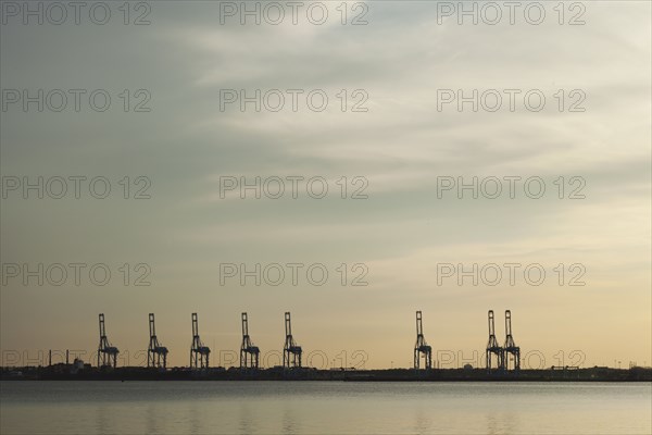Shipping cranes in harbor at sunset