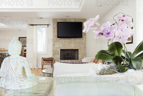 Orchids and Buddha statue in living room