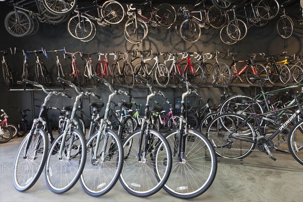 Interior of bicycle shop