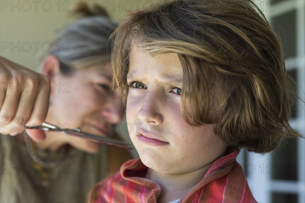 Boy getting haircut