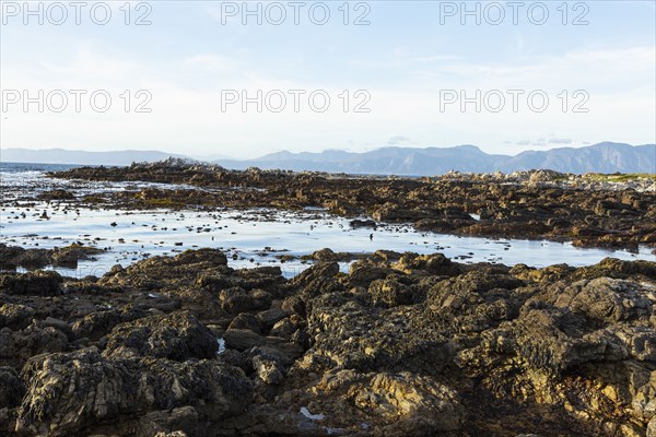 Rocky sea shore