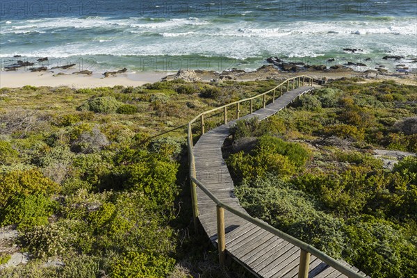 Wooden bridge to beach