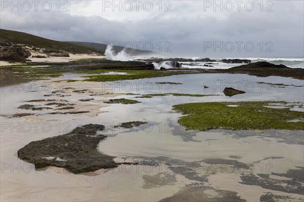 Coastline and tidal pools