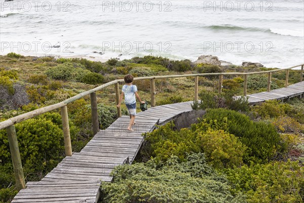 Boy walking on wooden bridge