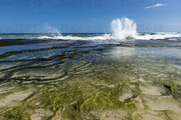 Coastline and tidal pools