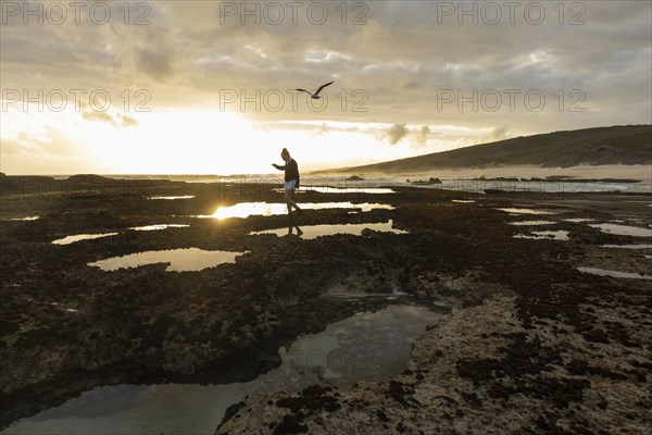 Girl exploring tidal pools