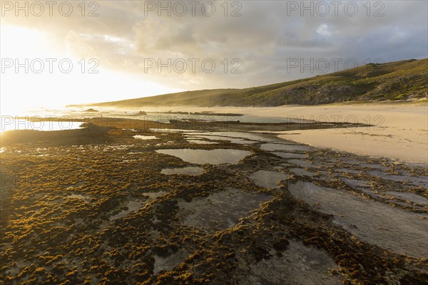 Tidal pools in Lekkerwater Nature Reserve