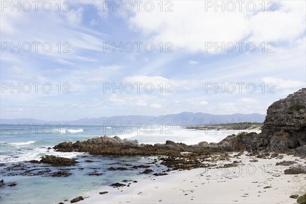 Ocean beach in Walker Bay Nature Reserve