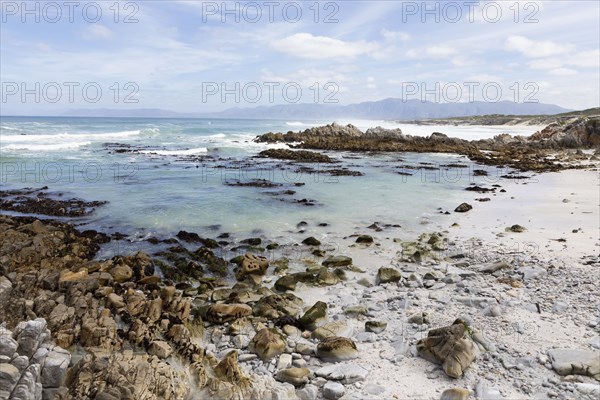 Ocean beach in Walker Bay Nature Reserve