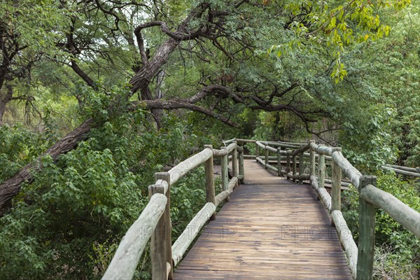 Wooden walkway in Nambwa River Lodge