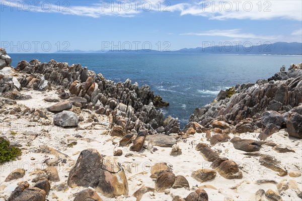 Rocky coast of Atlantic Ocean