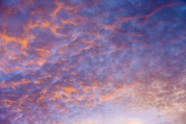 Sunrise sky with puffy clouds