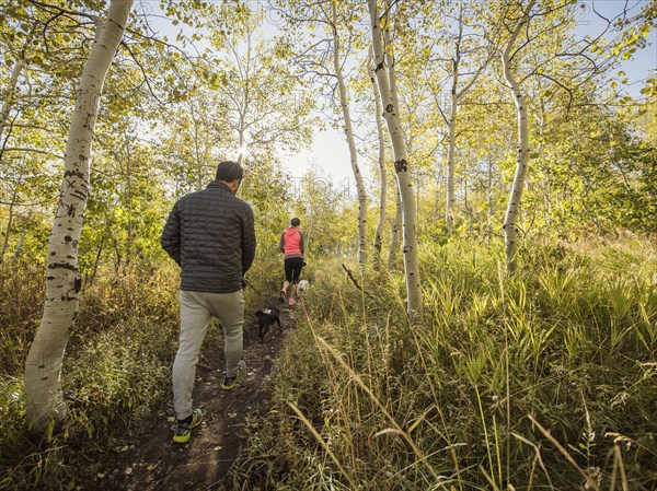 Rear view of couple with two dogs walking in forest