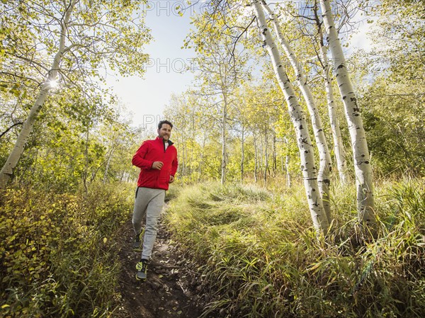 Man jogging in forest on sunny day