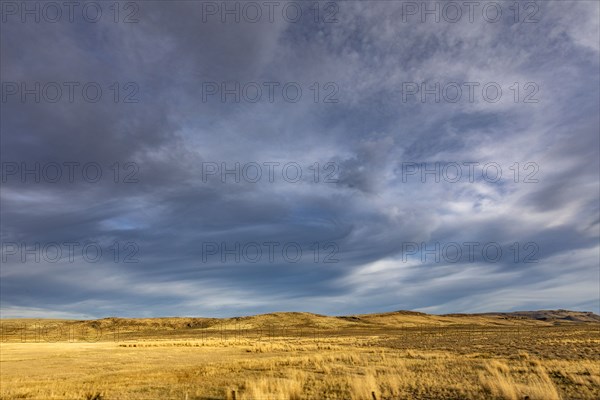 Golden grassland and stormy sky