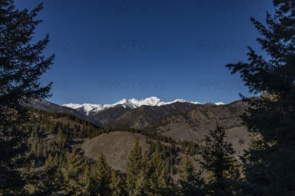 Landscape with snowcapped mountains