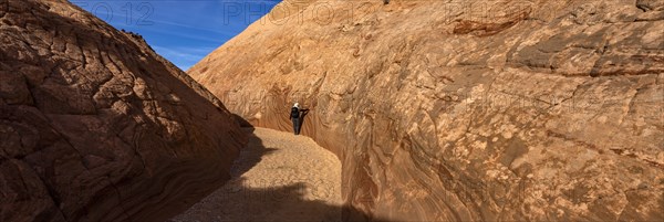 Senior hiker walking in sandstone canyon