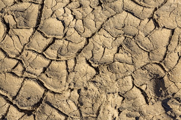 Dried streambed cracking into pieces