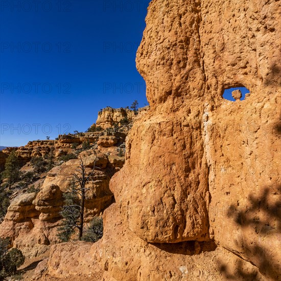 Hoodoo rock formations